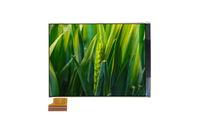 YT0283QV2002-01