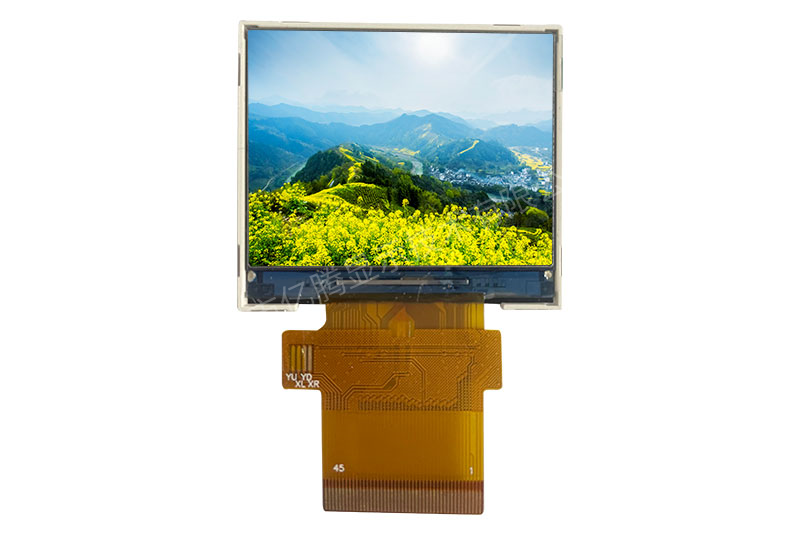 YT020BVA1001-01